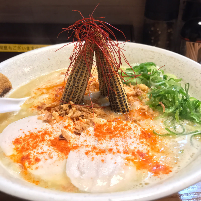 トリモロコシ(麺匠ようすけ 鶏煮亭)