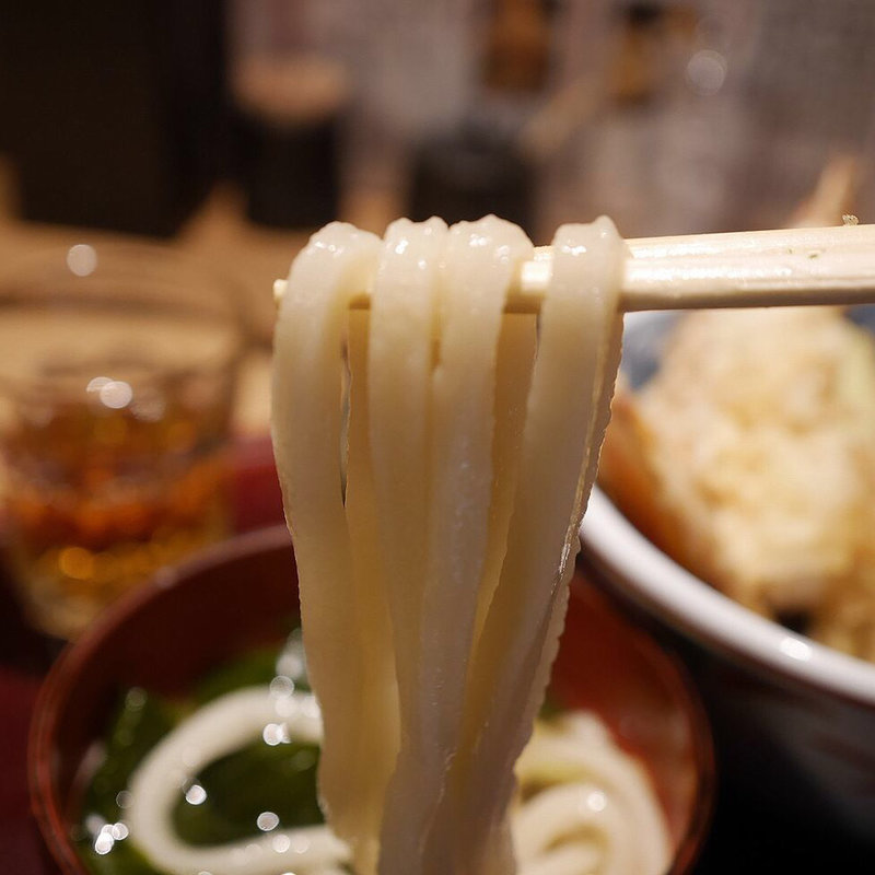 かけうどん(福ちゃん )