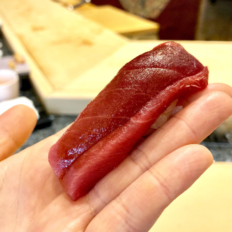 鮪中トロ(初音鮨)