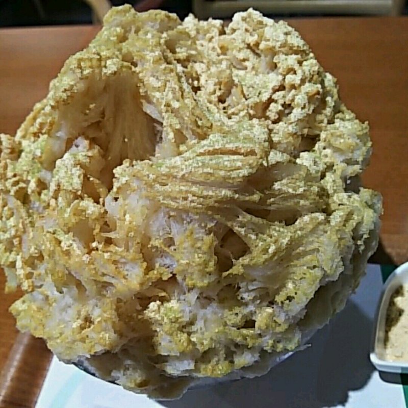 大ばあちゃんの豆だより(銀座のジンジャー 銀座本店)