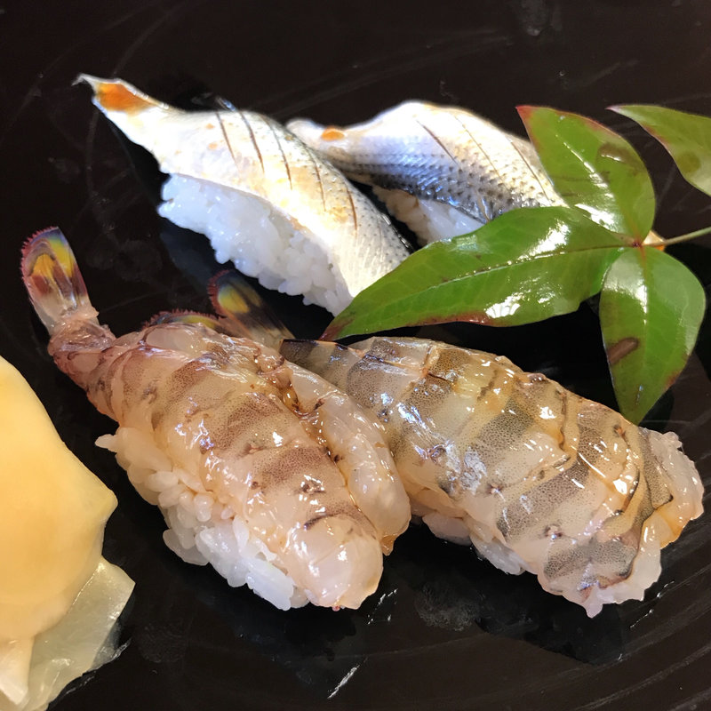 活車海老と小肌(陸女鮨 )