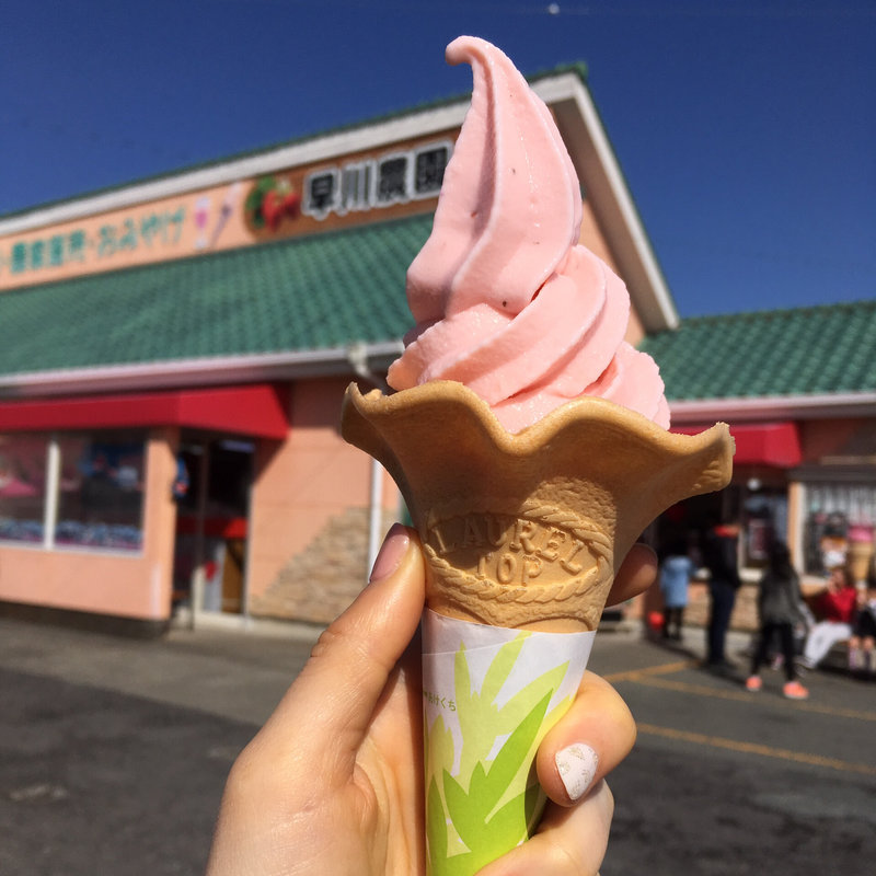 生いちごソフトクリーム(早川農園 )