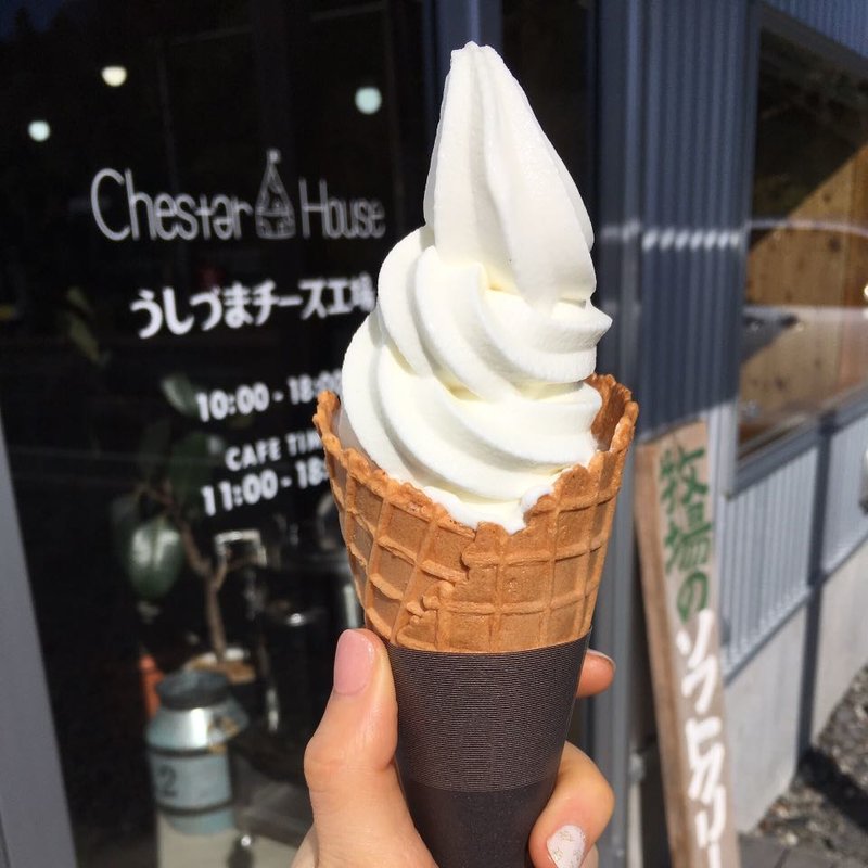 牧場のソフトクリーム(うしづまチーズ工房)