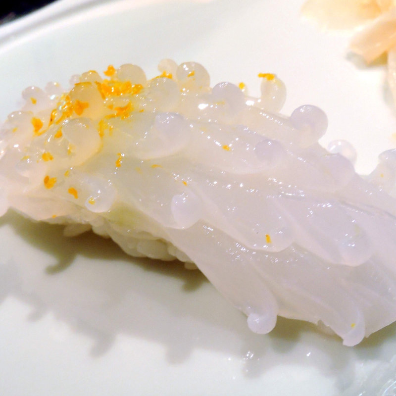 槍烏賊(やまちょう)