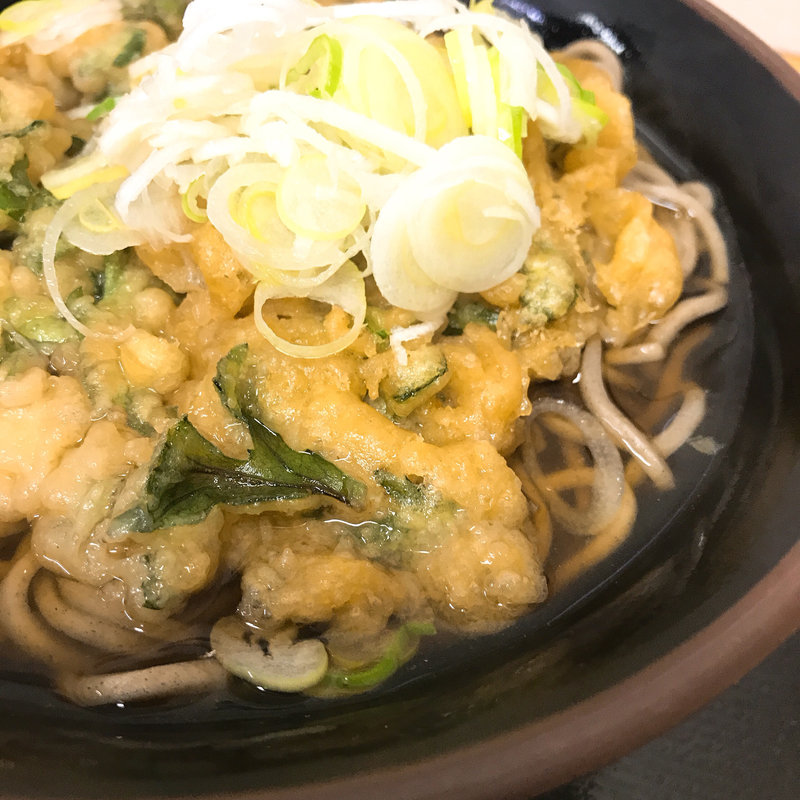 春菊天(むさしの )