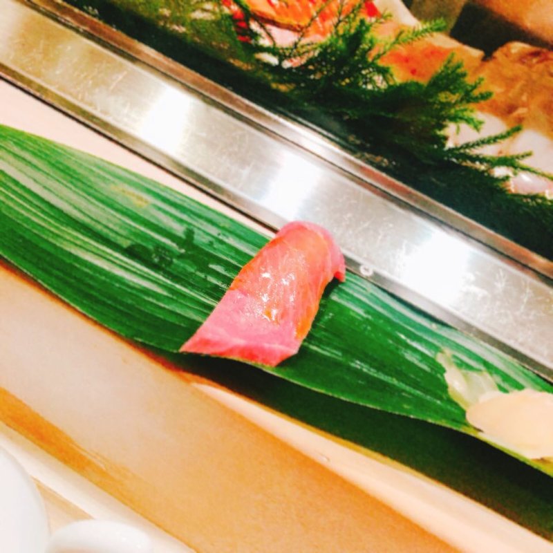 中トロの握り(まつ勘 麻布十番店 （まつかん）)