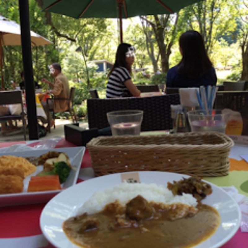 カレーランチ(日比谷松本楼)