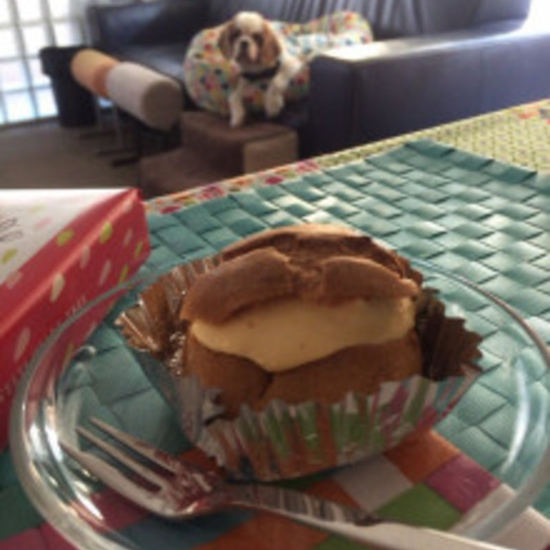 シュークリーム(ABEL)