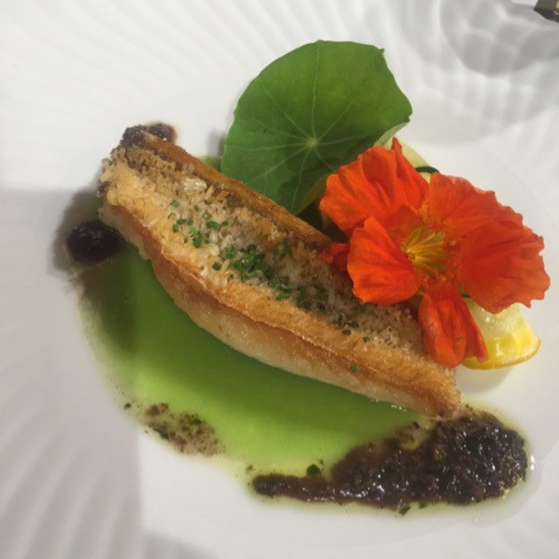 メイン　お魚(AIC秋津洲京都 （エーアイシーアキツシマキョウト）)