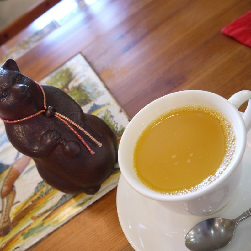 ホットオレンジ(Ant)