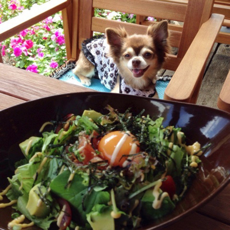 korean ネギトロライス(Cafe&Bar MarshMallow )