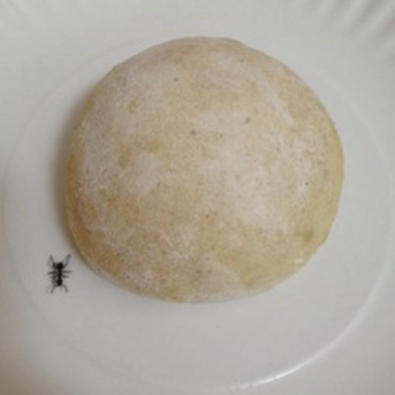 茶豆のクリームパン(Dean & Deluca)