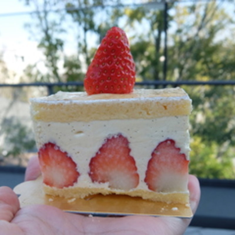 フレジエ(FARMSHOP 二子玉川 （ファームショップ）)