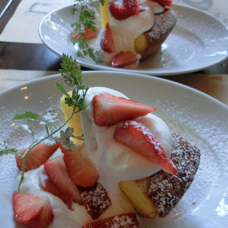 パラディーゾ(IL PACIOCCONE DI CHIANTI )