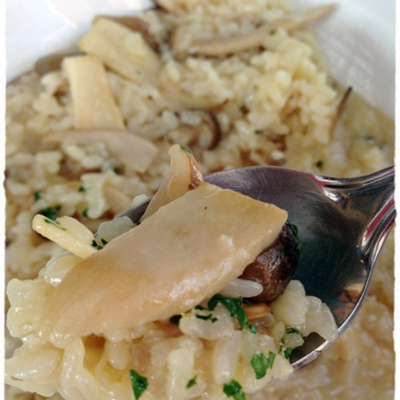 ボルチーニ茸のリゾット(ピッツェリア マルデナポリ大泉学園店)