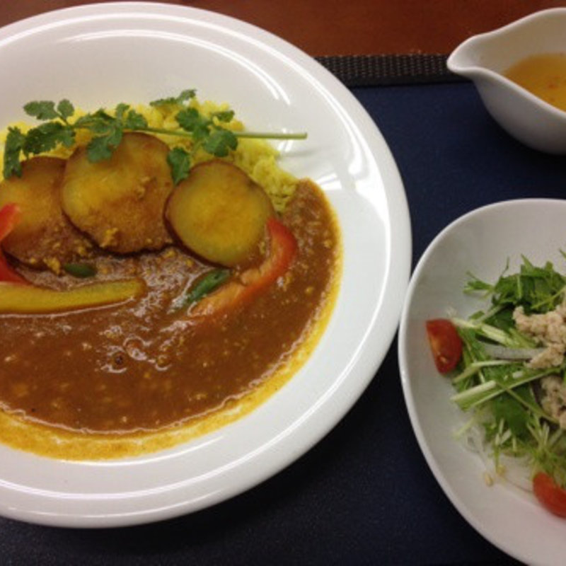 カレー、フォーサラダ（ランチパスポートメニュー）(Menya PHO)