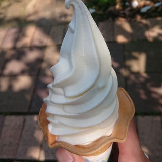 牛乳ソフトクリーム(MooMooまきば（モーモーマキバ）)