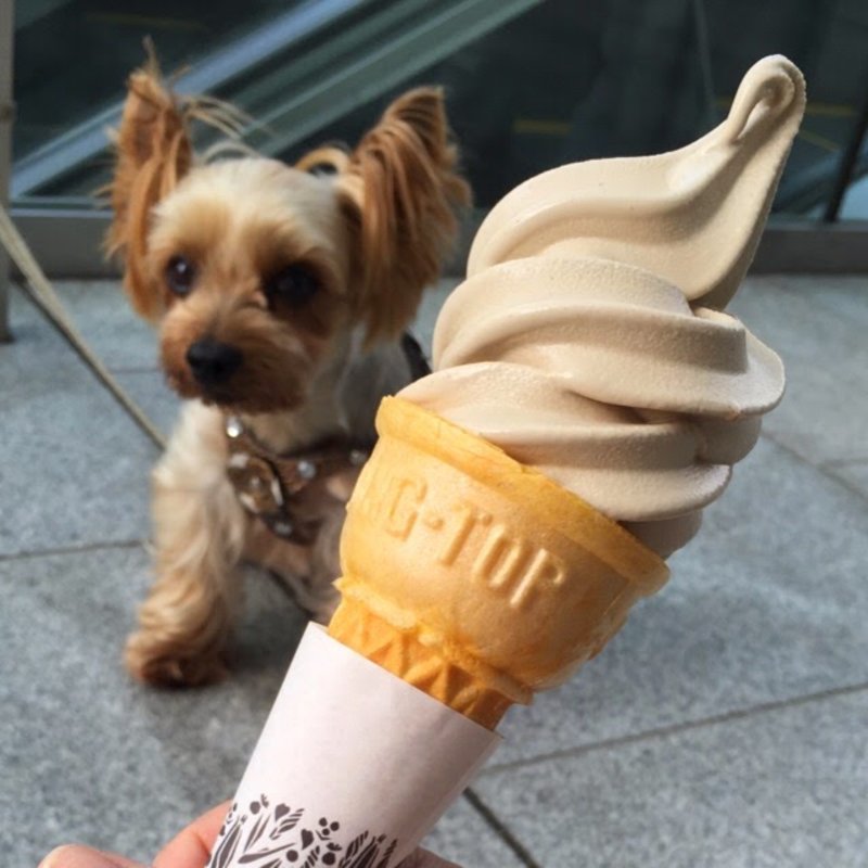 コーヒーソフト(R.O.STAR（ ロースター） 豊洲本店)