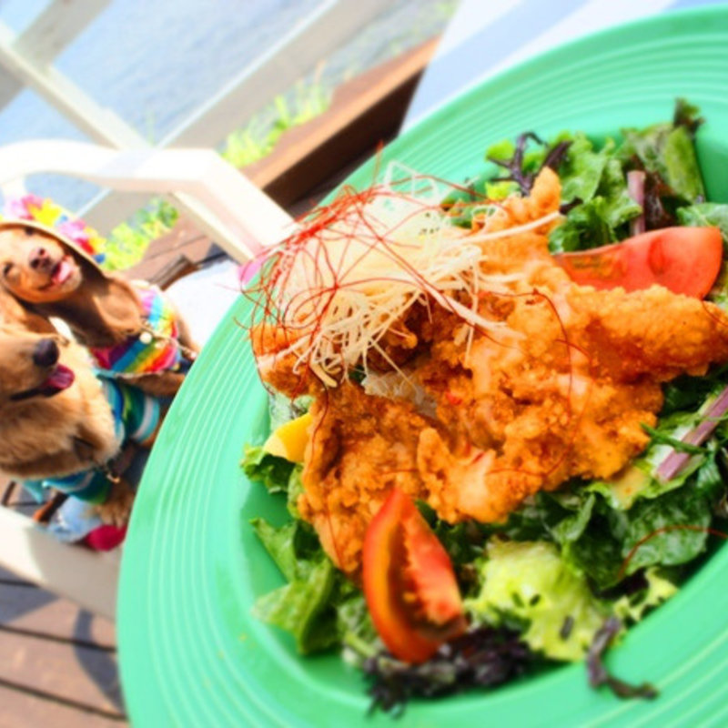 フライドチキンボウル(surfers)