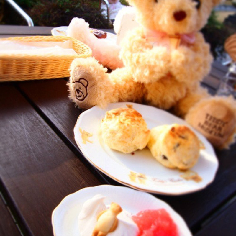 スコーン(Teddy's Garden （テディーズ ガーデン）)
