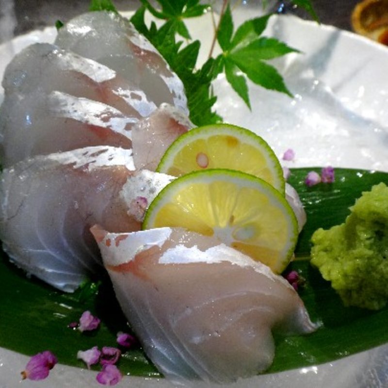 コチの刺身(山口)(創作和食あおき)