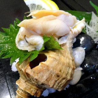 ツブ貝刺し(北海道)(創作和食あおき)