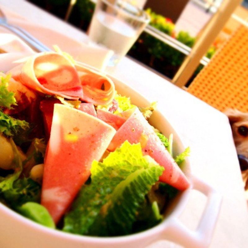 サラダ(アニヴェルセル カフェ みなとみらい横浜)