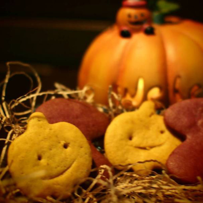 キノコとパンプキンのクッキー(アンシンオヤツシーポートペイストリー （C Port Pastry）)