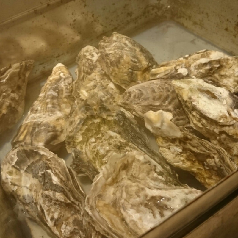 牡蛎のガンガン蒸し(あんやと )