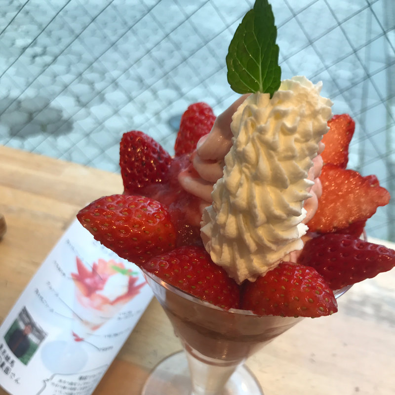関口農家のいちごパフェ(ウッドベリーズ マルシェ)