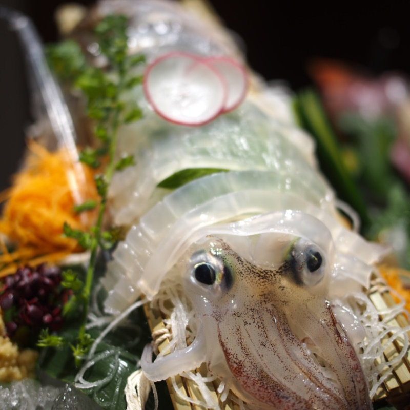 活やりいか(いかの墨 新宿南口店)