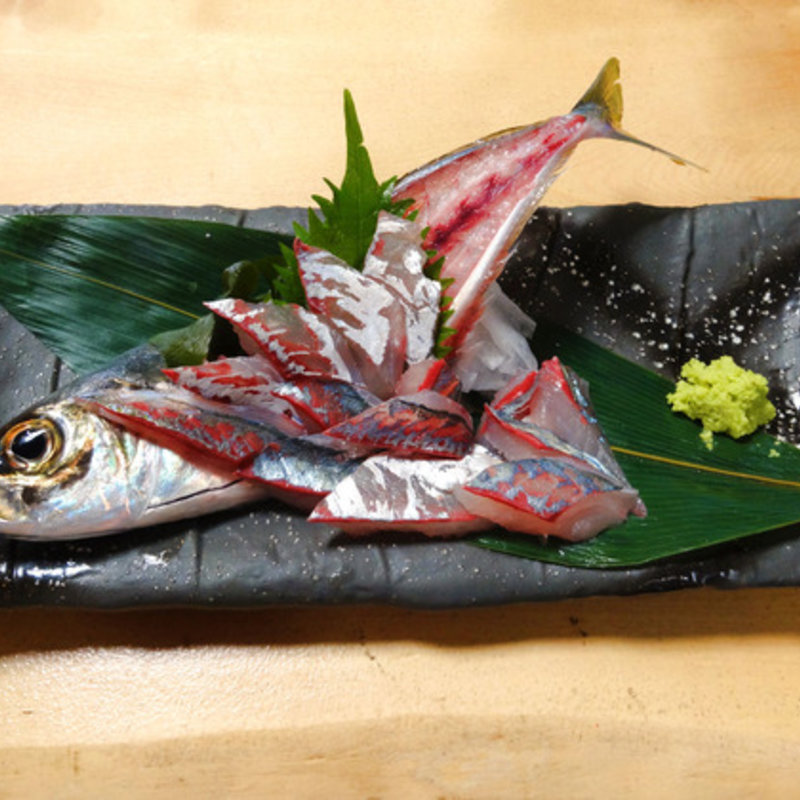 泳ぎアジの姿造り(いか食堂 )