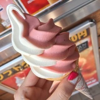 いちごミックス(イシカワ (ISHIKAWA))