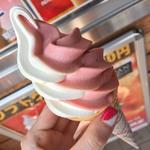 いちごミックス(イシカワ （ＩＳＨＩＫＡＷＡ）)