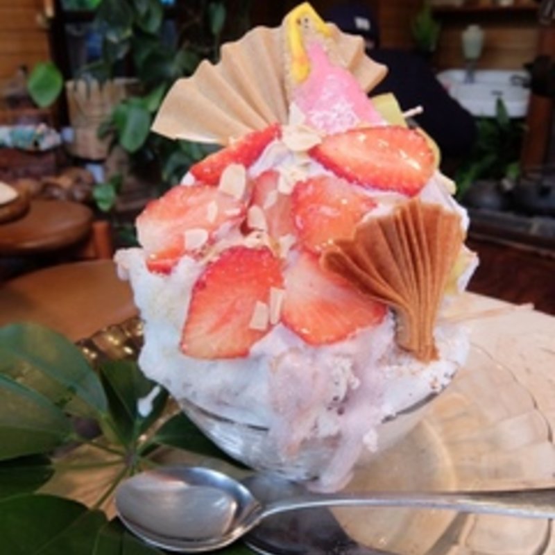 アポロチョコ(いちょうの木 )