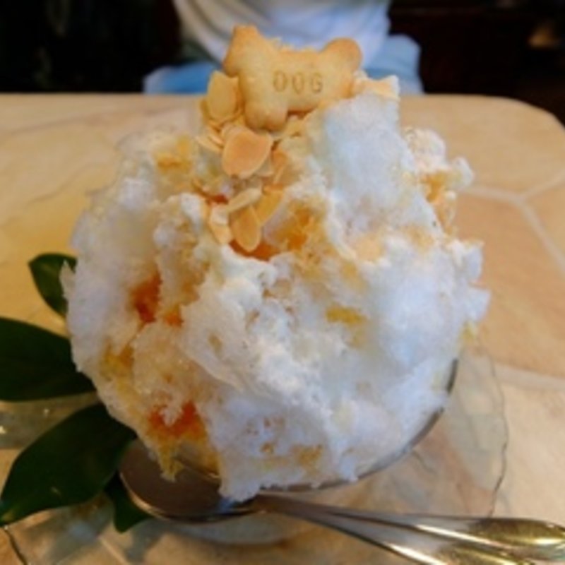 桜生姜ブリュレ (中サイズ)(いちょうの木 )