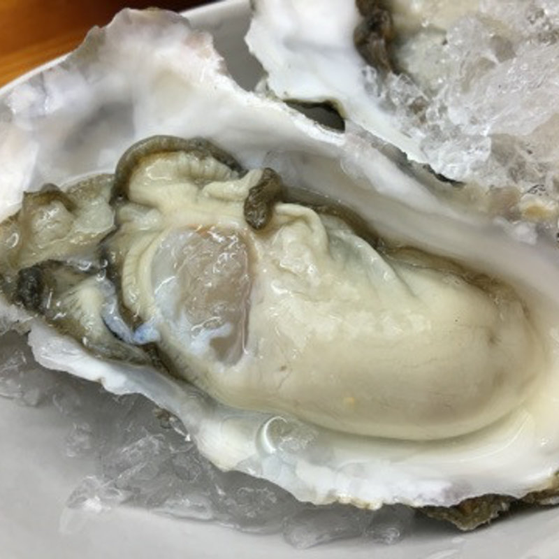 生牡蠣(いち善 )