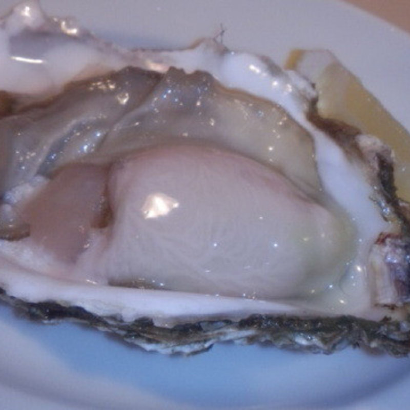 生牡蠣(イル ランポ （IL LAMPO）)