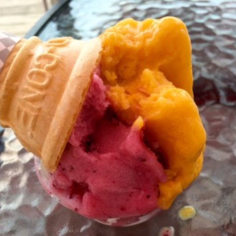 ダブルベリーとマンゴーソルベのジェラート(イル・マーレ)