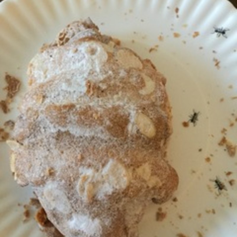 クロワッサンザマンド(VIRON 渋谷店)