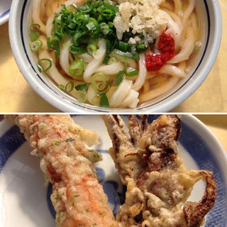 かけ中（1.5玉）(うどん処しんせい )