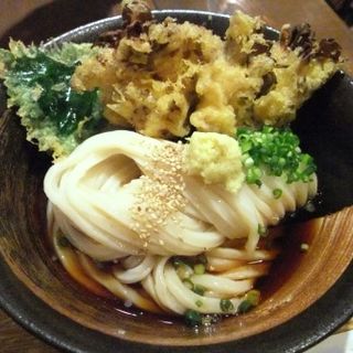 まいたけ天ぶっかけ(うどん屋 きすけ )