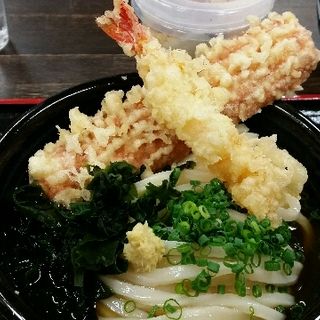 エビちく天ぶっかけうどん冷(うどん蔵ふじたや)