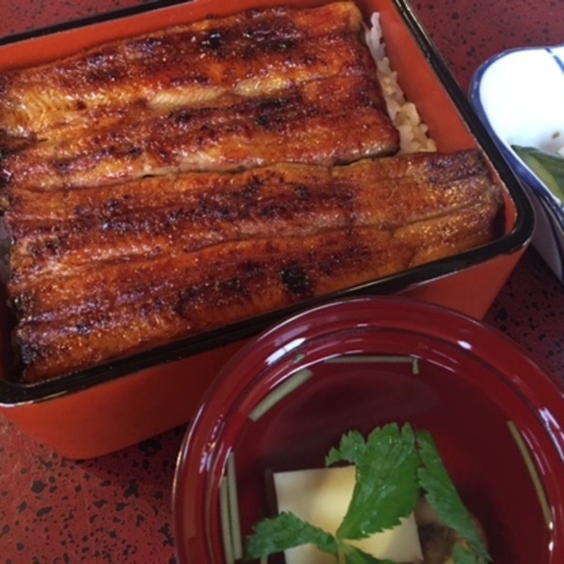 ウナギ(うなぎ　桜家 （さくらや）)