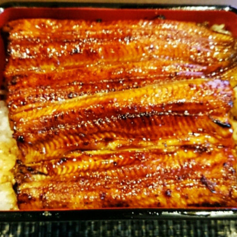 うな重(うなぎ創作 鰻樹)