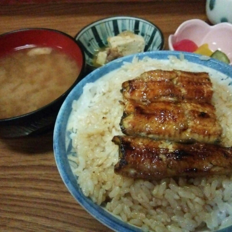 うな重(うな達)