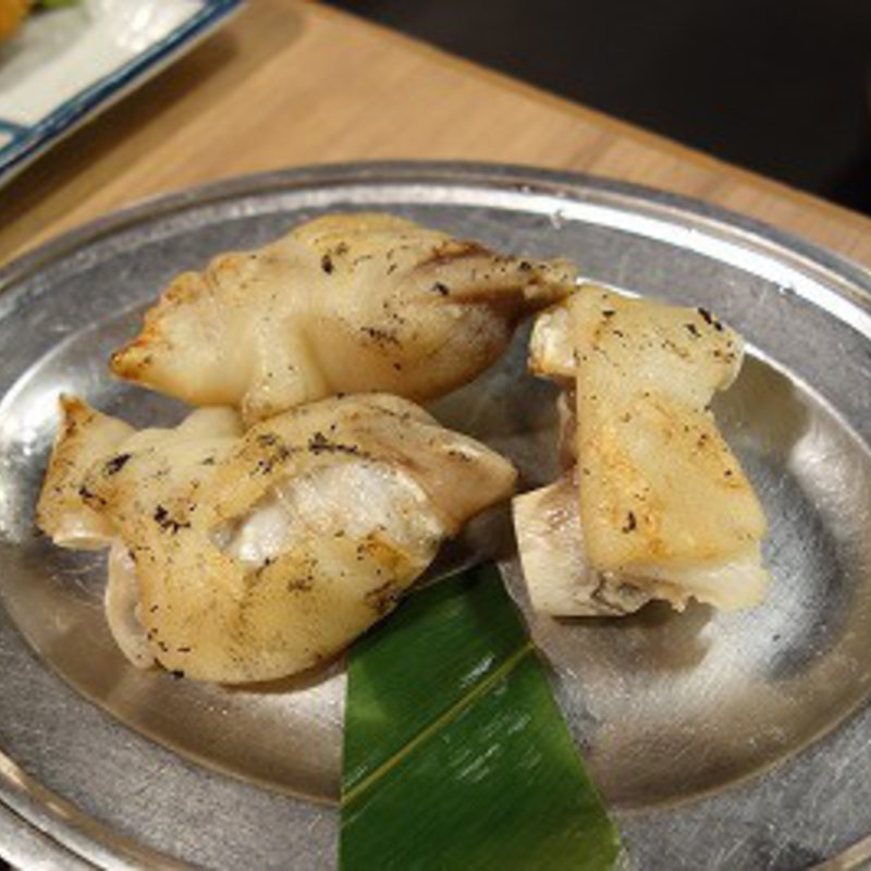 とんそく(うみブタ)