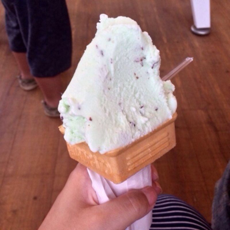 チョコミント(エルフィン　元山牧場牛乳 )