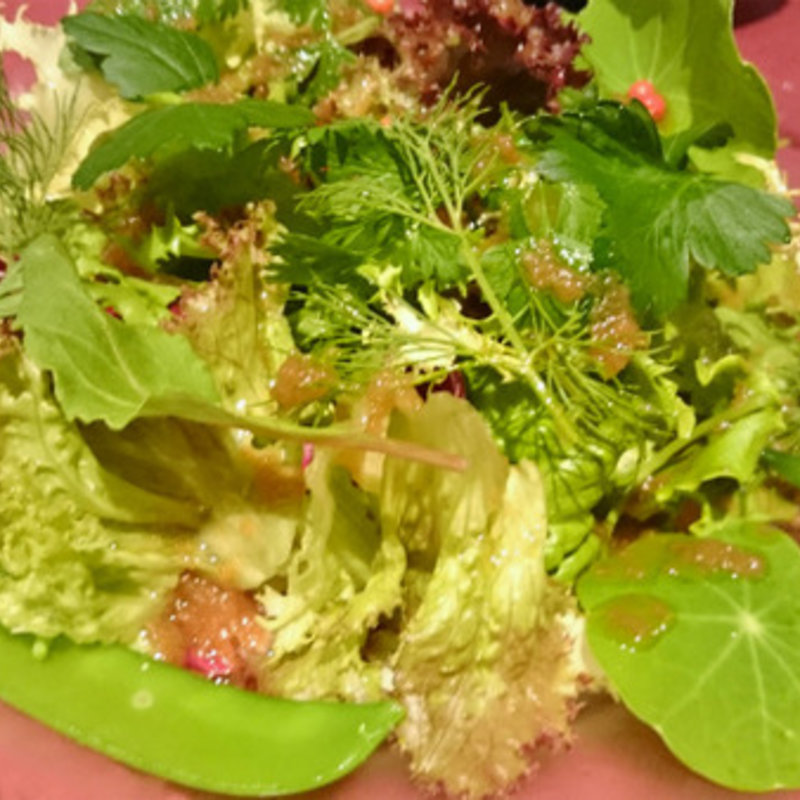 野菜サラダ(オールド コースト プリュス （OLD COAST Plus＋）)