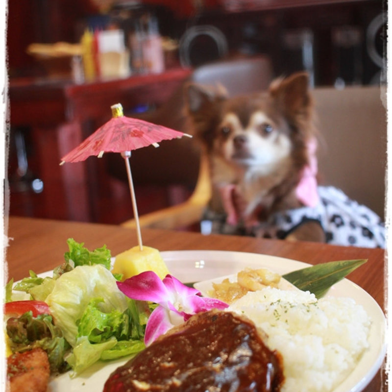 ロコモコ(オールドハンガー （Old Hangar）)